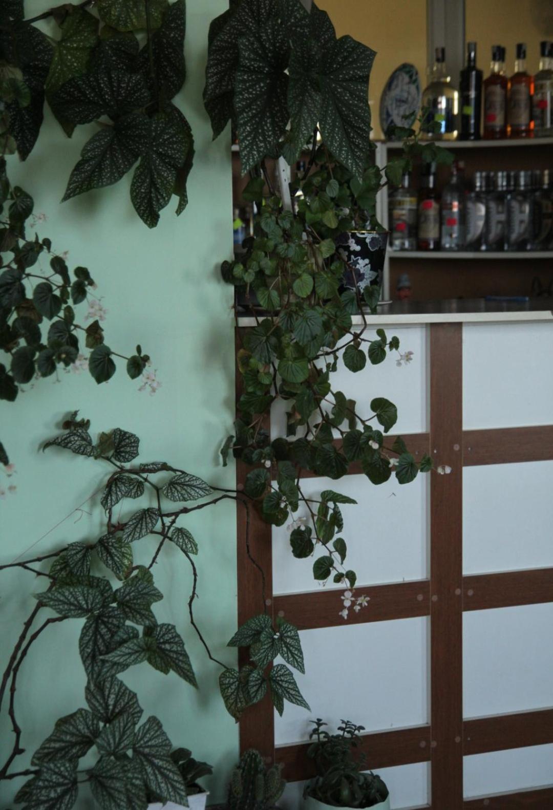 Hotel Tsalka Zewnętrze zdjęcie